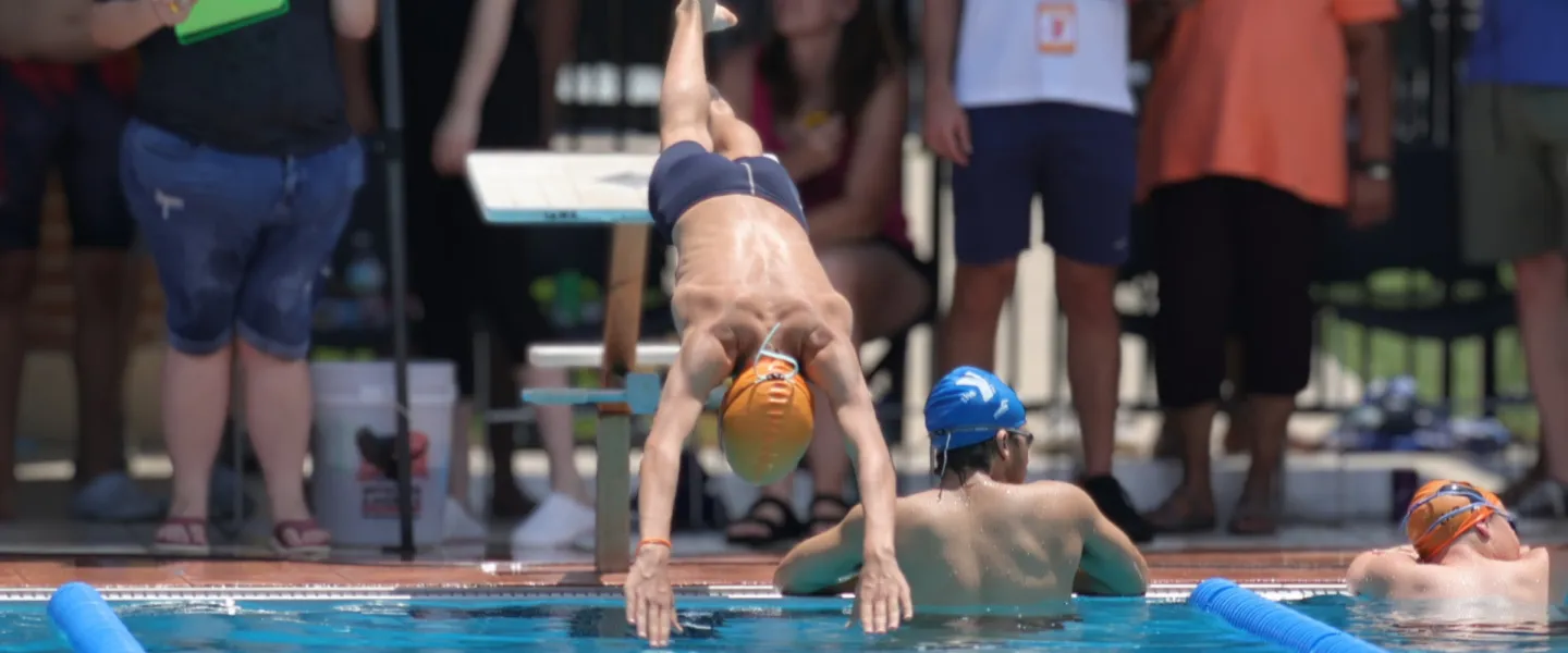 swimmer diving into pool