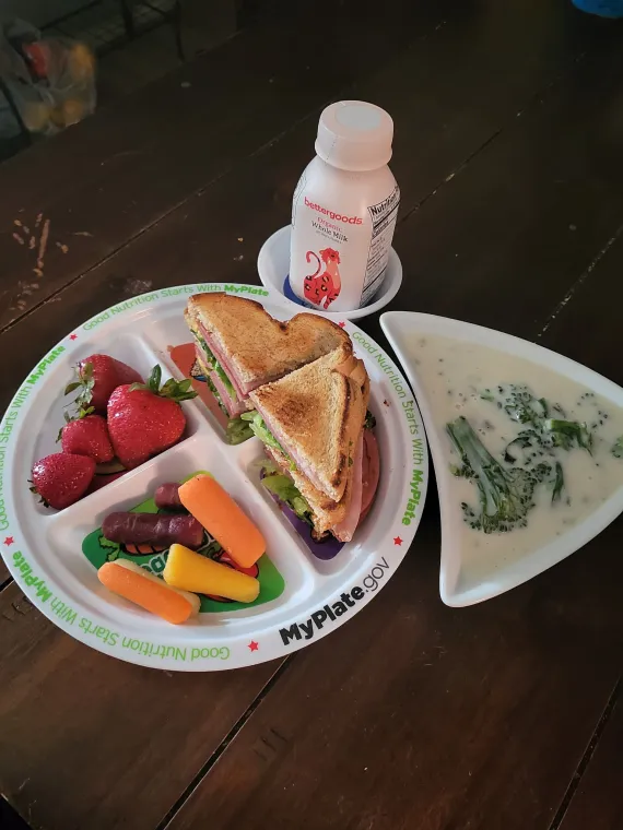 MyPlate photo showing the healthy serving amounts for food