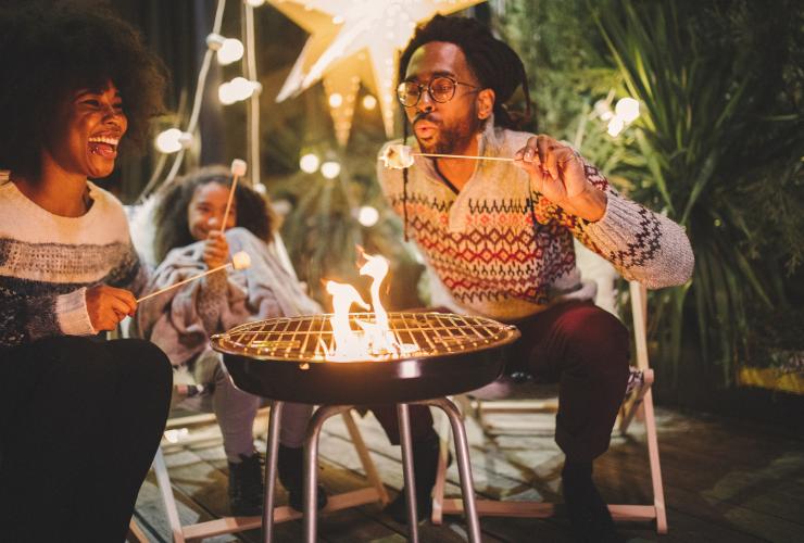 Holiday Fun Family Smores