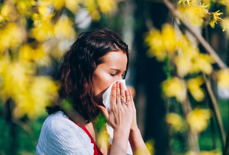 In the park allergies